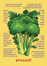 Broccoli Note Card